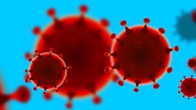 red coloured viruses against a blue background.